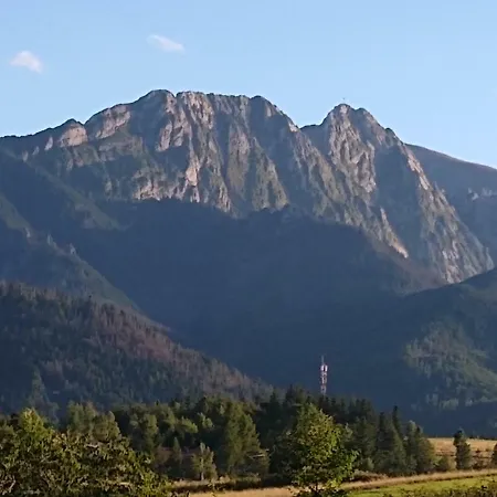 Loft Folk זקופאנה